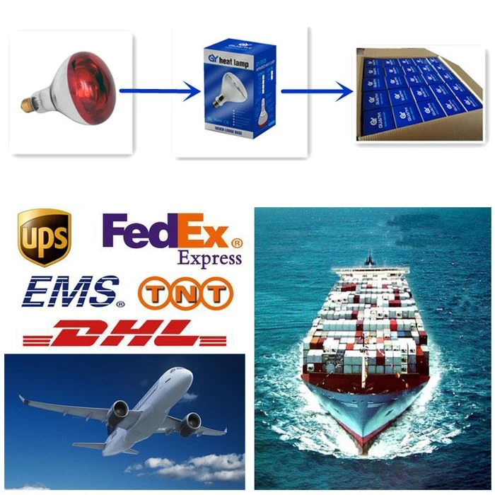 Transport of infrared bulb 100w